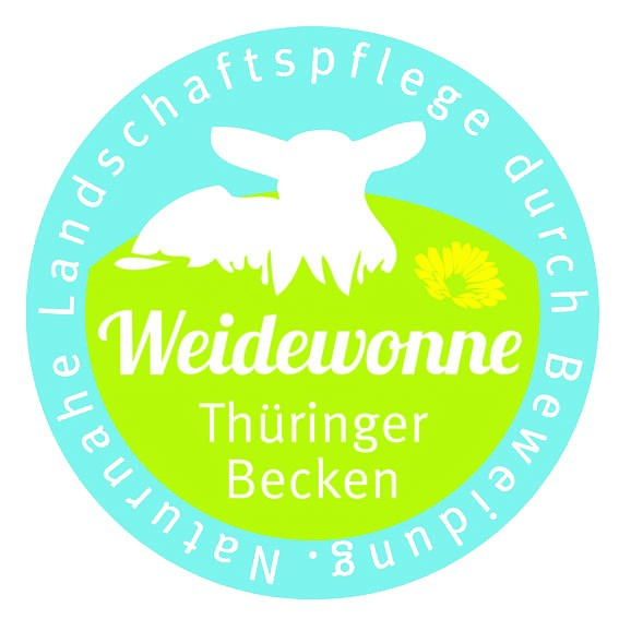 Weidewonne Lamm