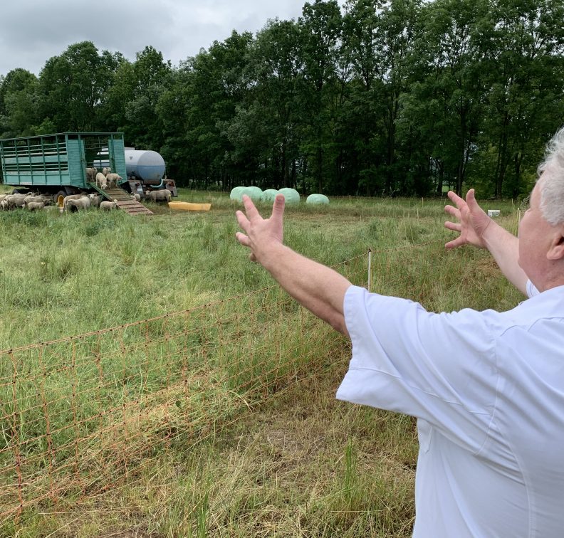 Alboths Welt Alboths Welt