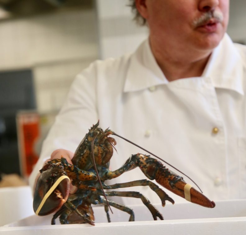 Alboths Welt Alboths Welt